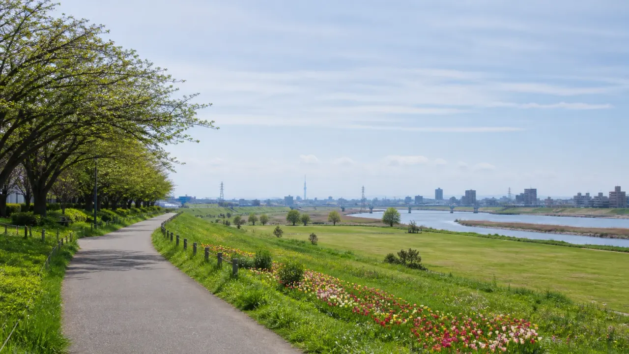北千住駅から荒川河川敷の虹の広場へ歩く散歩ガイド。駅前のにぎわいから土手の広い空へ抜けるルート、見どころ、季節ごとの楽しみ方、歩く時の注意点をまとめます。