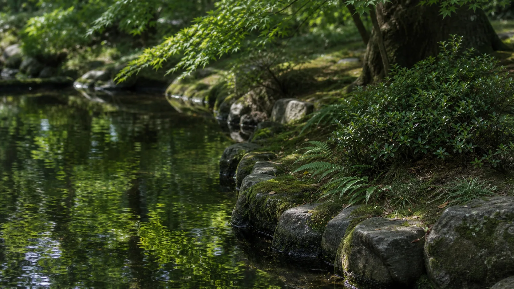 歴史ある公園の水辺と植栽の近景のイメージ