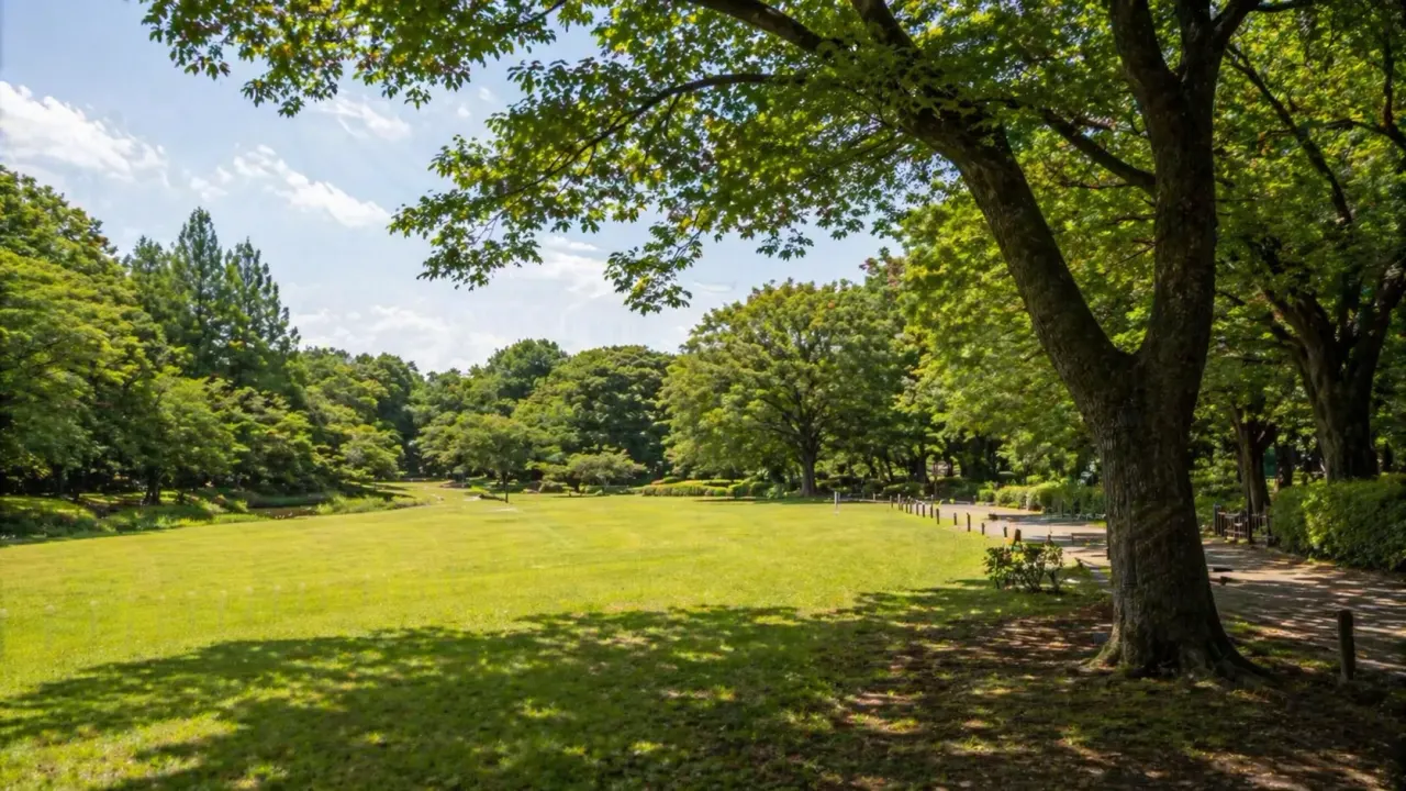 北の丸公園でのピクニック情報を解説。お弁当・飲食物の持ち込みはOK（アルコール・火気は禁止）。おすすめの芝生スポット、九段下駅からのアクセス、散策コースと周辺見どころも紹介。