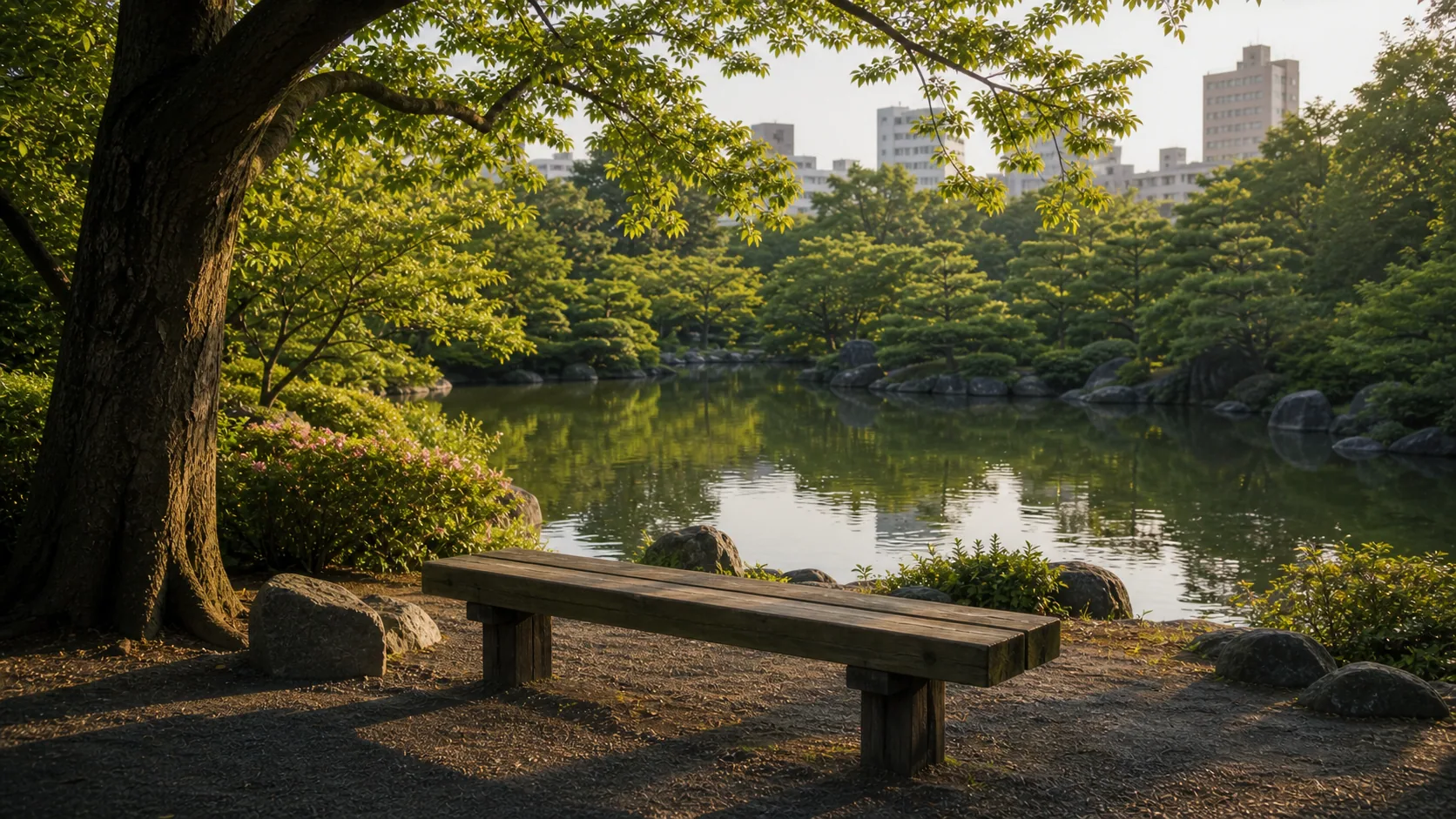 木陰のベンチから池を眺める休憩時間のイメージ