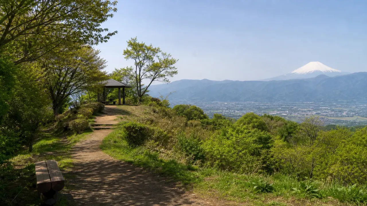 秦野市の弘法山公園で、浅間山、権現山、弘法山の低山を無理なく歩く半日散歩を紹介。富士山展望、桜、野鳥の気配を味わうコース感をまとめます。