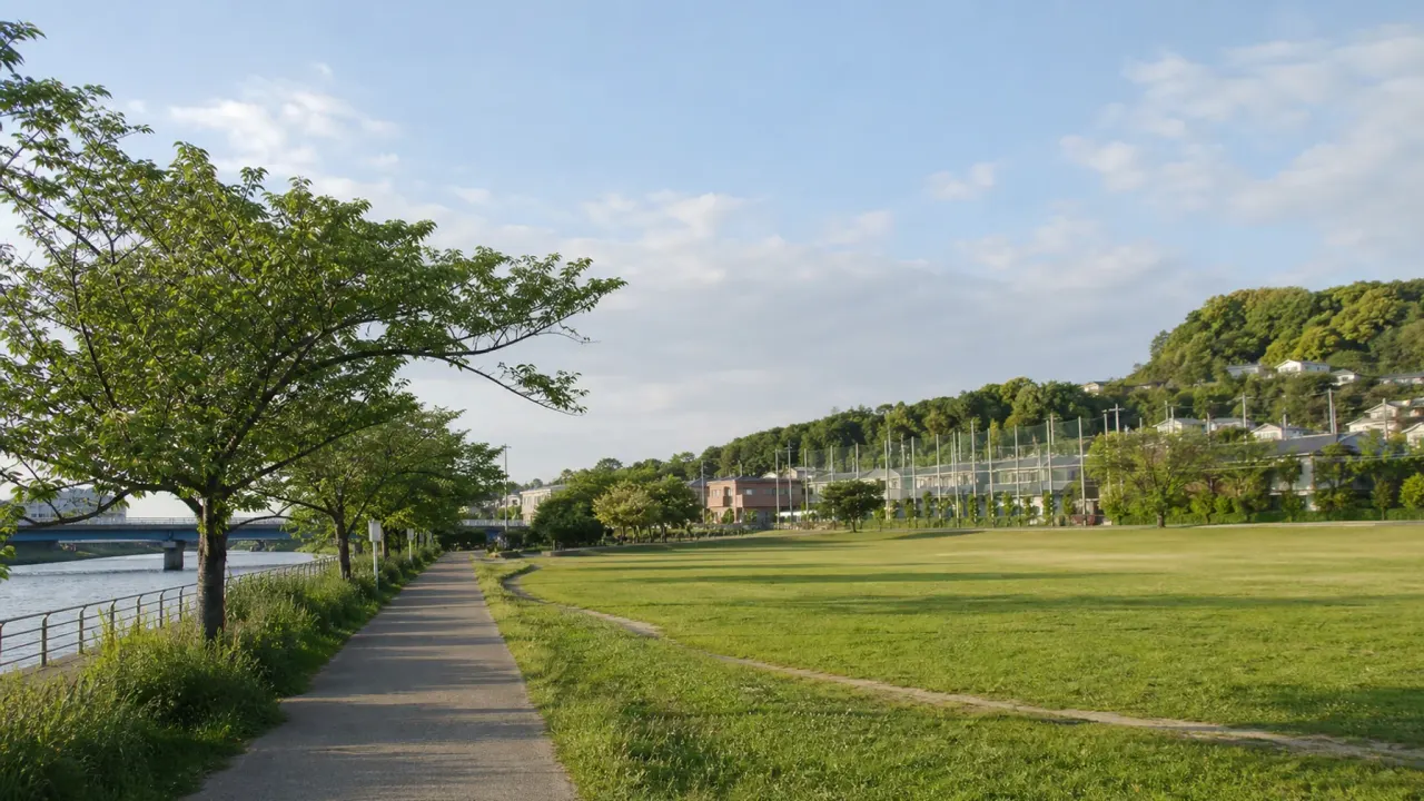 相模原市南区の古淵鵜野森公園で、境川沿いの立地、多目的グラウンド、屋外水泳プール周辺を日常散歩として使う考え方を紹介。古淵駅周辺や木もれびの森との組み合わせ方もまとめます。