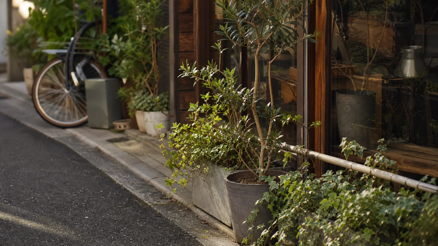 小さな店先の植栽と通路の近景のイメージ
