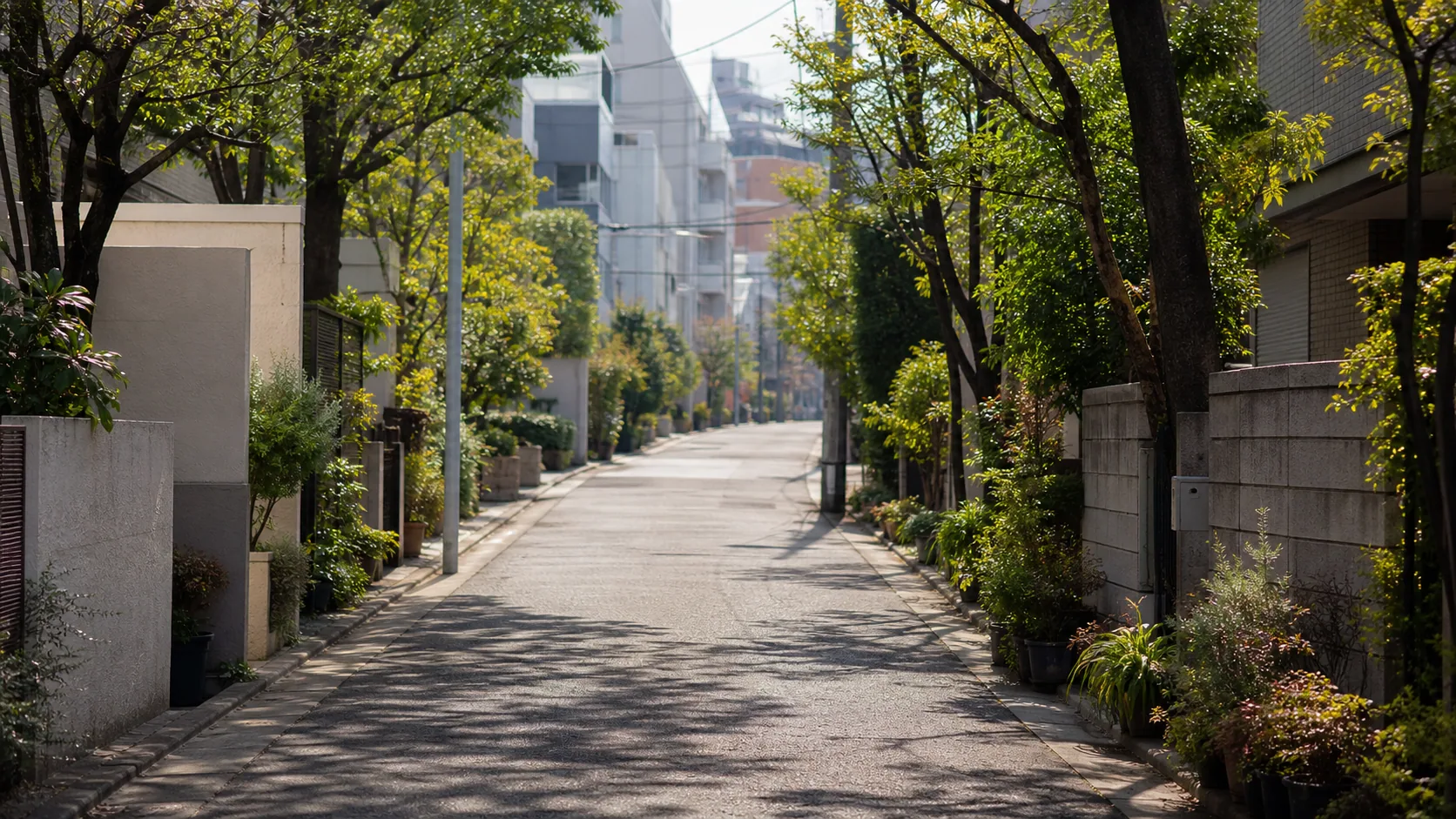 緑のある静かな住宅街の近景のイメージ