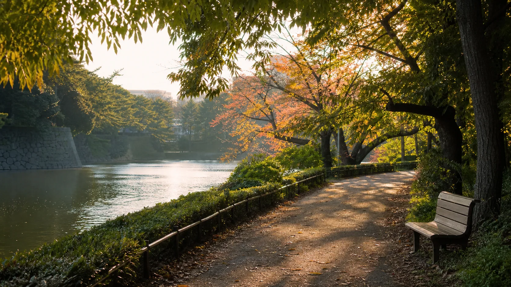 木陰の園路とベンチで休む場面のイメージ