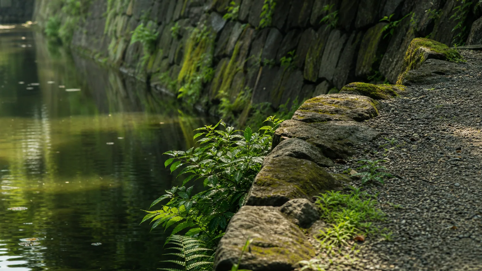 石垣と水辺の近景のイメージ