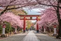 【保存版】九段下から靖国神社へ歴史と桜を巡る静かな散歩モデルコース