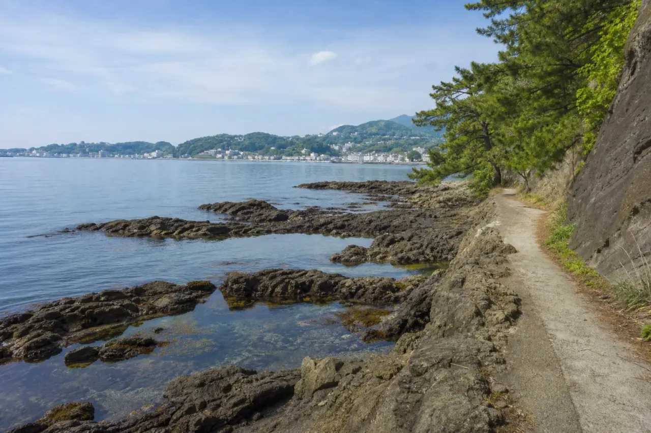 真鶴町の琴ヶ浜で、港町の落ち着き、海岸沿いの遊歩道、岩場の海を短く味わう散歩を紹介。真鶴駅からバスで入り、三ツ石方面とは違う海辺の使い方をまとめます。