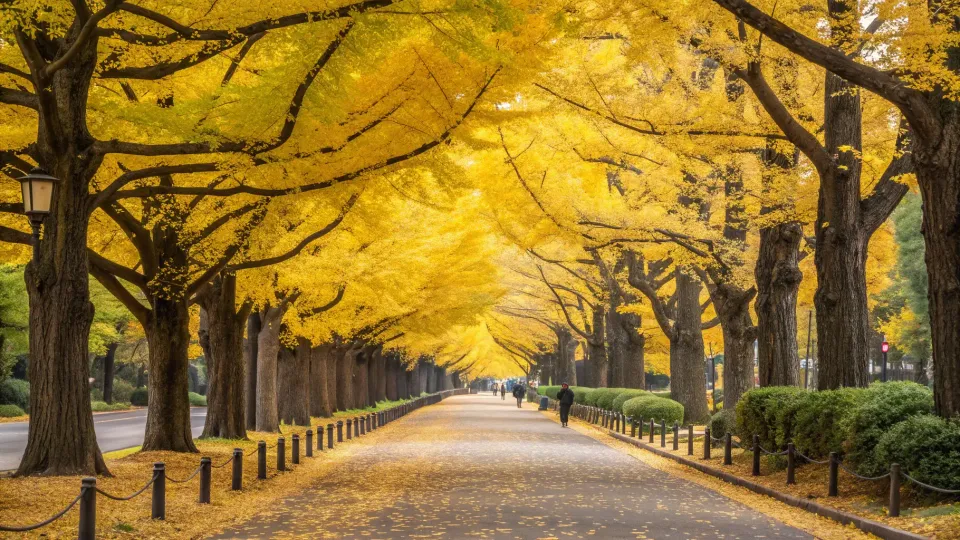 明治神宮外苑の散歩モデルコース3選｜所要時間や見どころを地図で解説