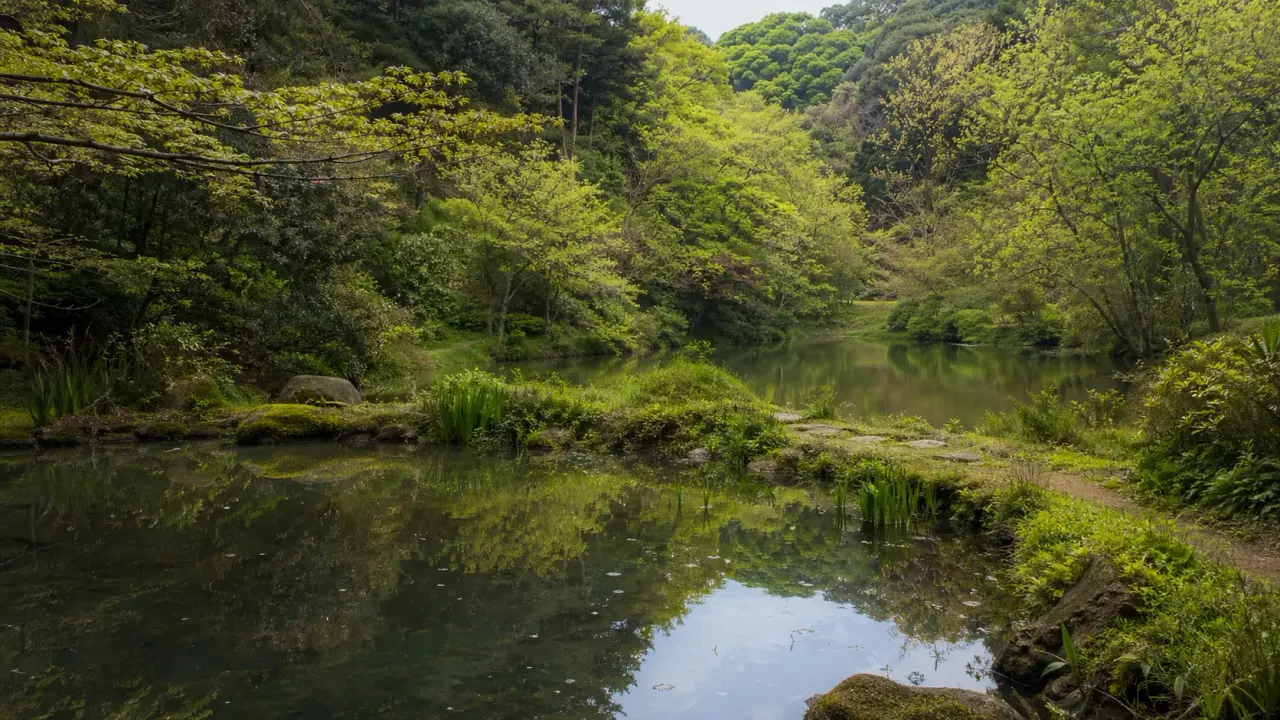 夫婦池公園で、鎌倉山の上池・下池と湿り気のある散策路を静かに歩く散歩を紹介。バスで入りやすく、1時間半でまとまる使い方をまとめます。