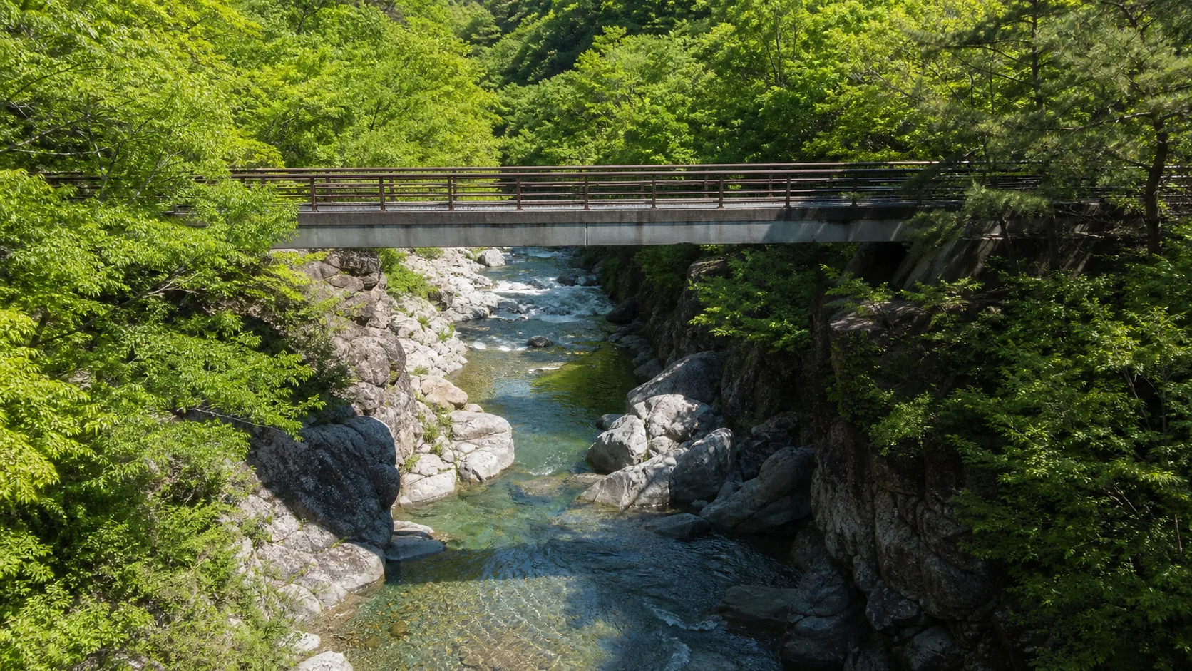 緑の渓谷にかかる橋から川を眺めるイメージ