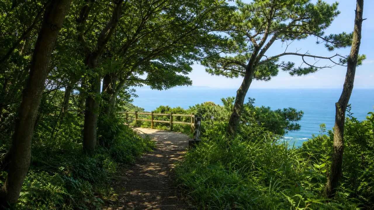 海を見下ろす岬の森の遊歩道と展望スペースをイメージした、大房岬自然公園のカバー画像