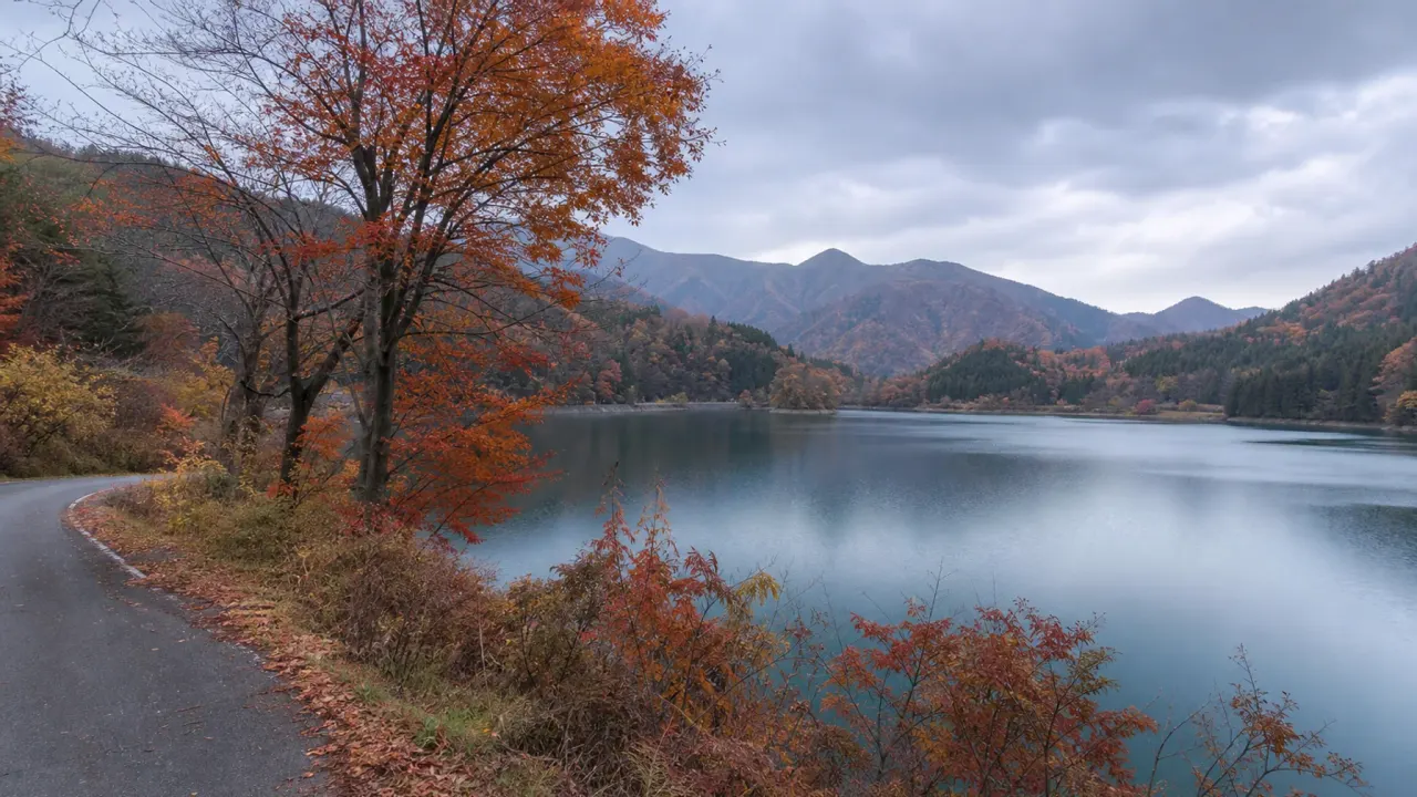 紅葉に包まれた山あいの湖畔を描いた、もみじ湖散歩のイメージ画像