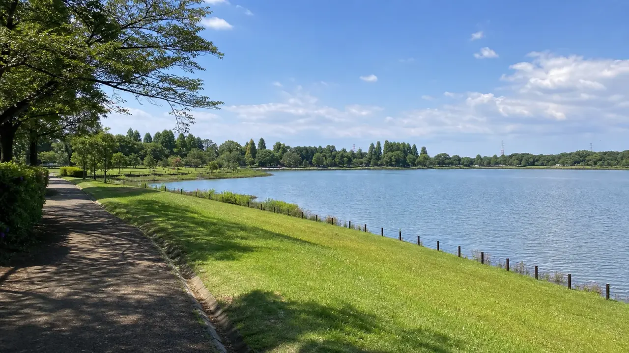 埼玉県三郷市のみさと公園を、小合溜井沿いの水辺公園として歩く散歩記事。水元公園と向かい合う大きな水面、芝生、木陰を半日で楽しむコツを紹介します。