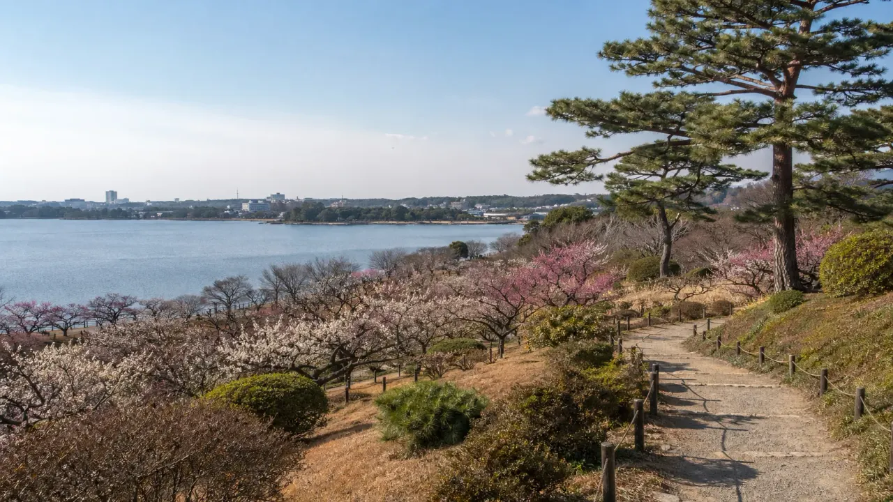 茨城県水戸市の偕楽園と千波湖を歩く半日散歩。日本三名園の庭園、梅林、湖畔の広い空をつないで、水戸らしい水辺と緑を味わうコースです。