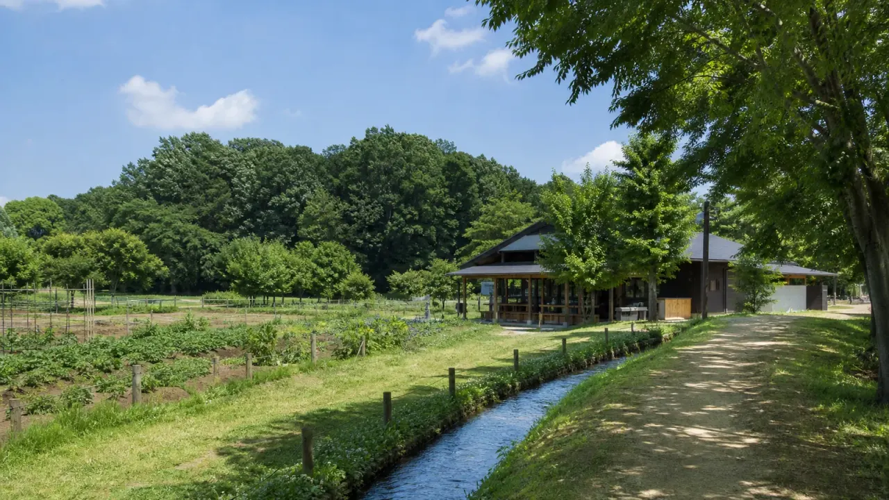 埼玉県宮代町の新しい村を、農産物直売所、森のカフェ、ほっつけ田、山崎山の雑木林を感じる散歩先として紹介。東武動物公園駅から歩ける半日コースです。