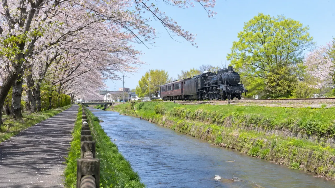 【真岡】行屋川とSLキューロク館をつなぐ、水辺と鉄道の街歩き
