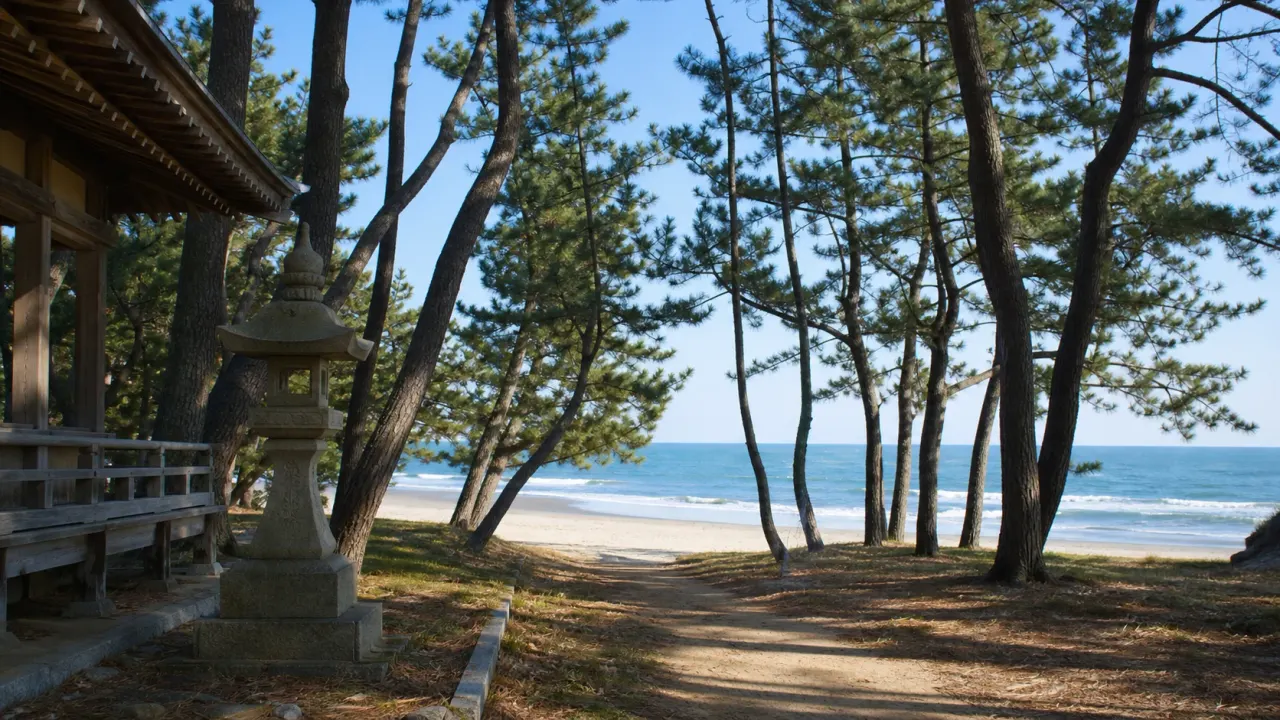 松林の先に白い砂浜と青い海が広がる村松海岸の散歩イメージ