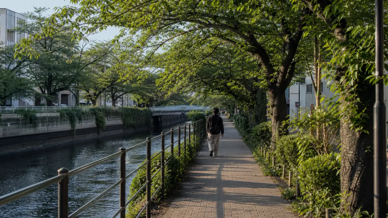 静かな時間帯に目黒川沿いを一人で歩きやすい並木道