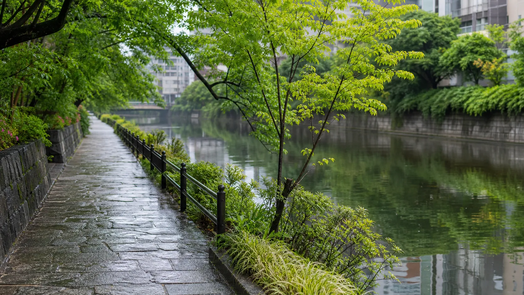 水面に映る並木と遊歩道の近景のイメージ