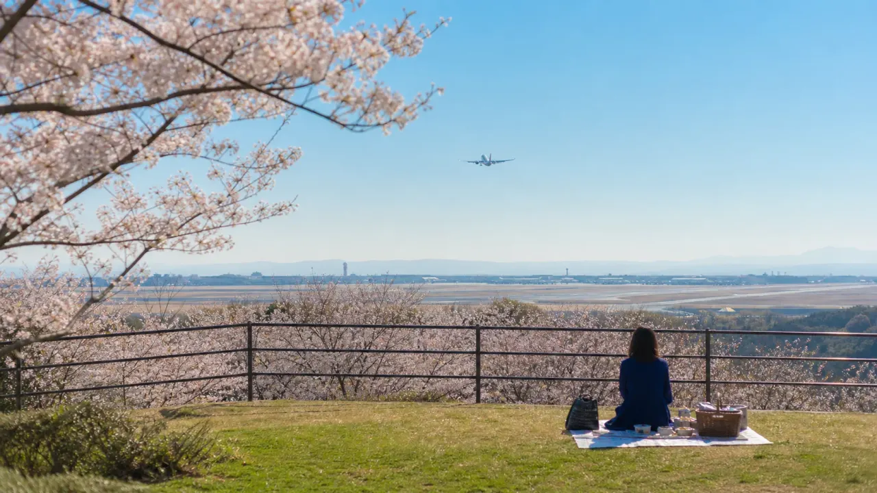 成田市さくらの山で、展望デッキ、芝生、桜、空の駅さくら館をめぐる散歩ガイド。成田空港の飛行機を眺めながら、半日未満で過ごす計画をまとめます。