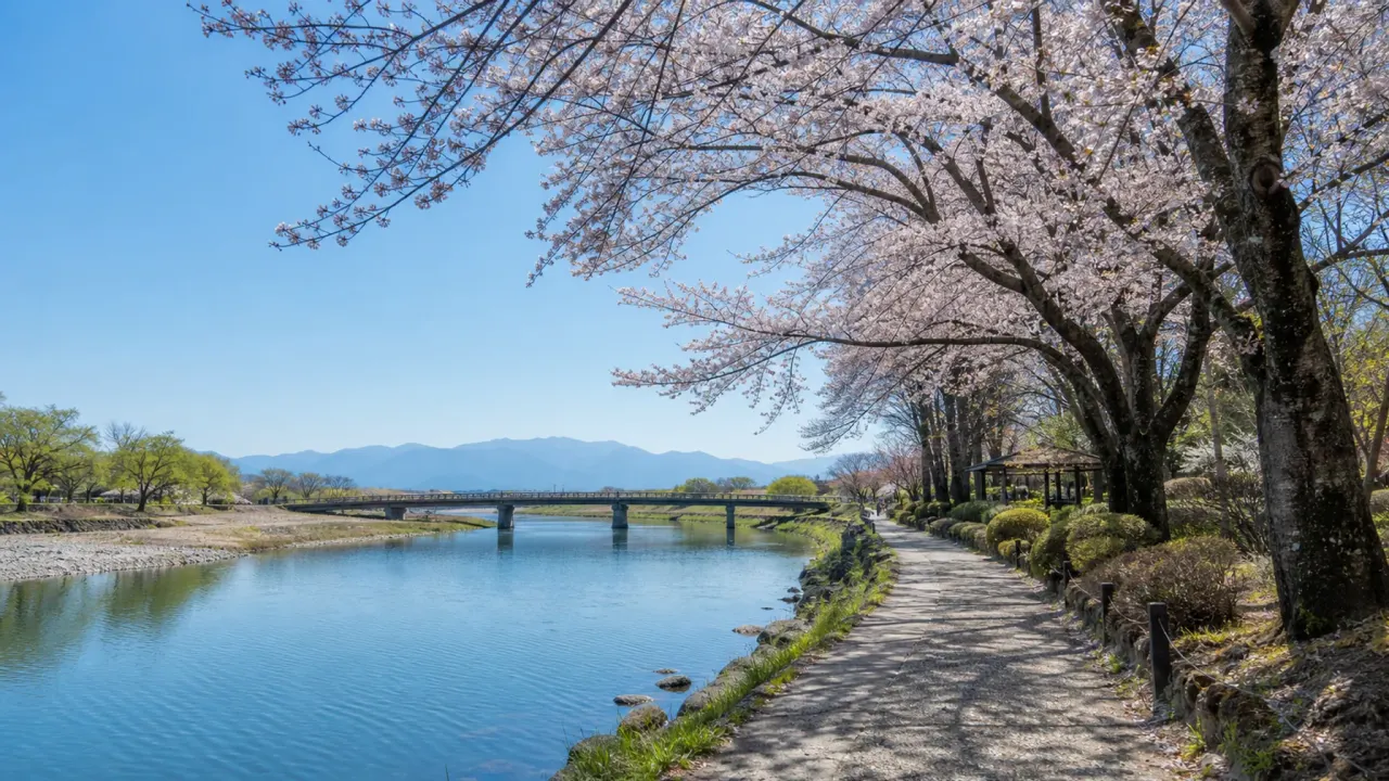 桜の公園から那珂川の水辺へ向かう散歩道の雰囲気を表したイメージ画像