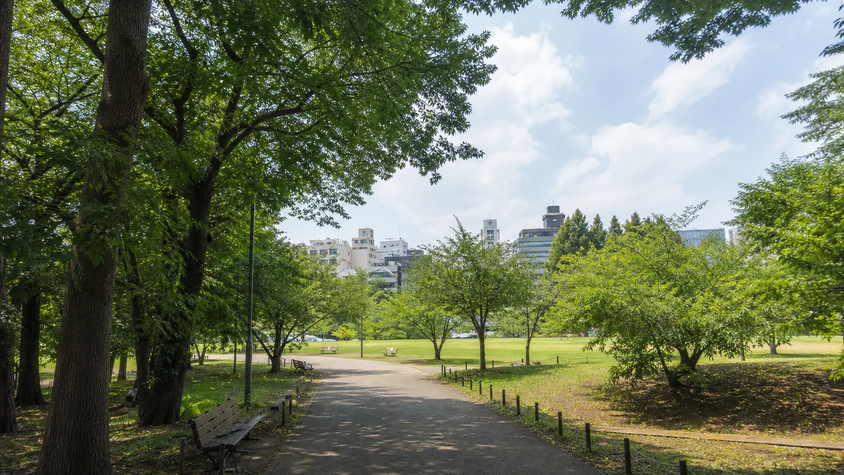 渋谷区の緑豊かな公園を歩く空気感のイメージ