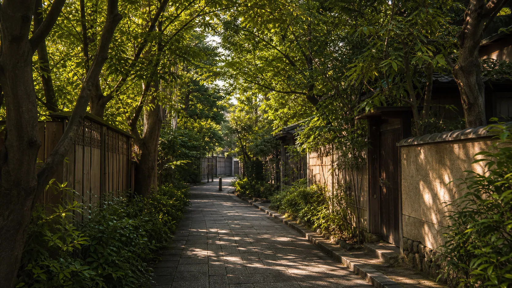 木漏れ日の中を歩く静かな道のイメージ