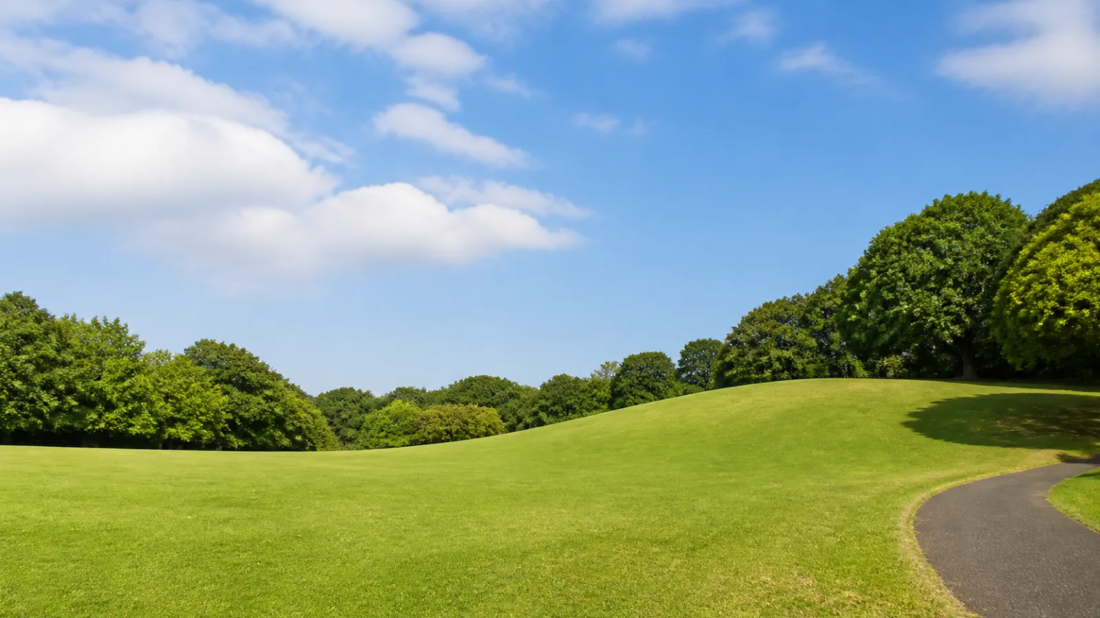 広い芝生とゆるやかな起伏が続く公園のイメージ