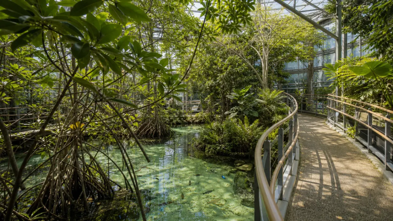 板橋区立熱帯環境植物館を散歩目線で紹介。開館時間、入館料、休館日、高島平駅からのアクセス、温室と水族館の見どころを公式情報をもとに整理します。