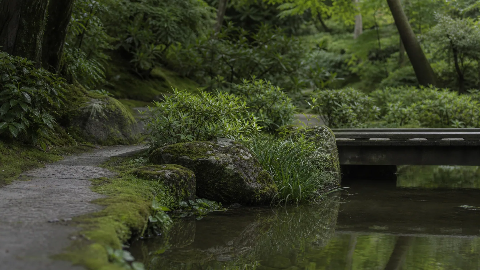 庭園の水辺と小径の近景のイメージ