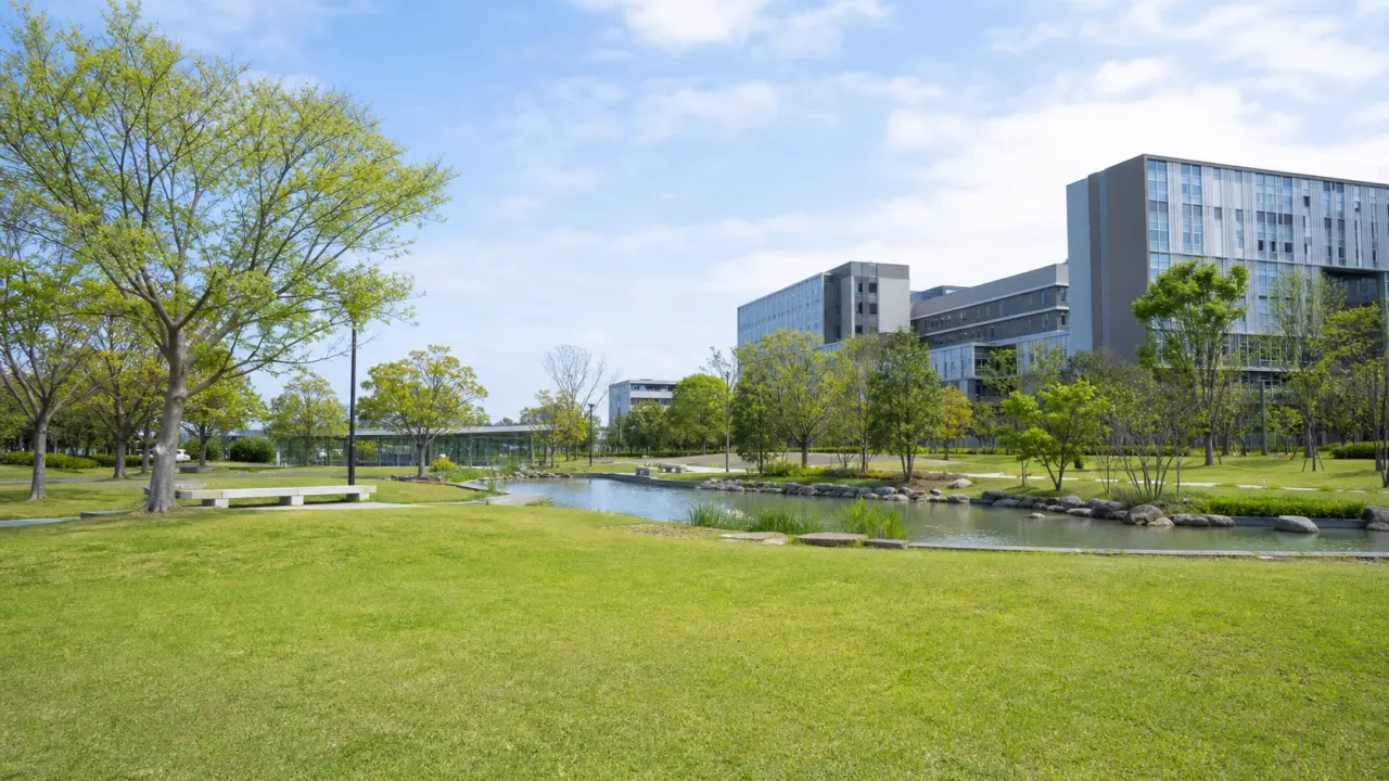 葛飾にいじゅくみらい公園の散歩ガイド。金町駅から徒歩約10分、区内最大の区立公園で芝生、修景池、桜、図書館棟周辺をゆっくり歩くコースを紹介します。
