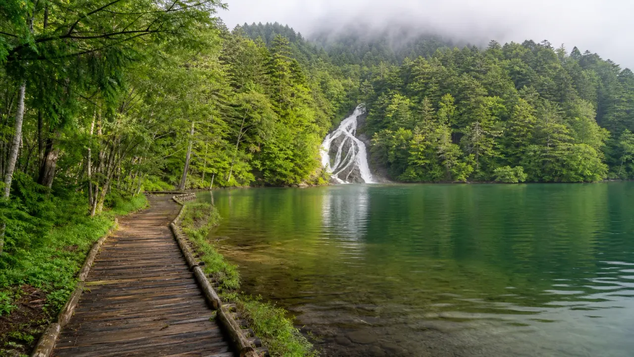 奥日光の湯ノ湖畔と湯滝をイメージした森と水辺のカバー画像