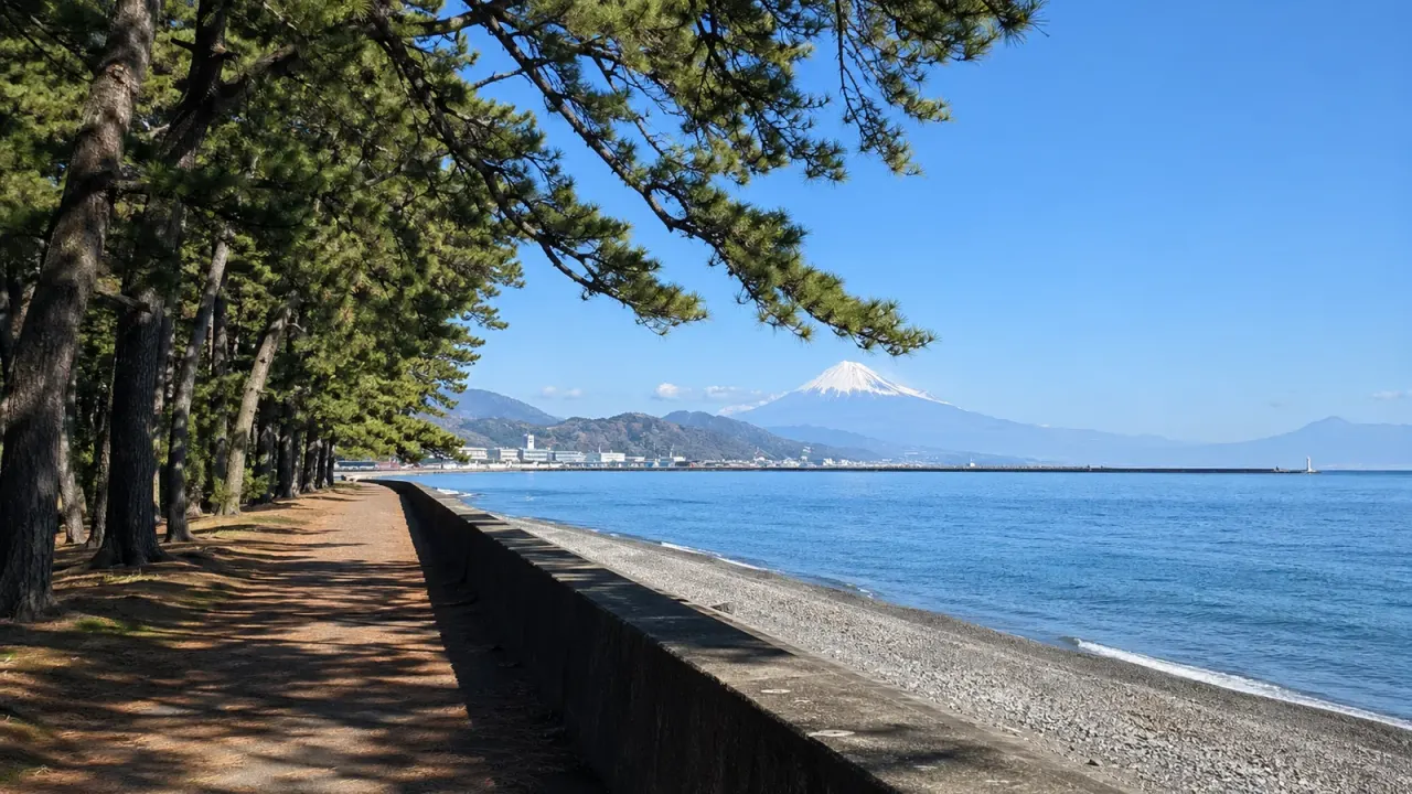 沼津港、びゅうお、千本浜公園をつなぐ海辺散歩ガイド。港のにぎわいと千本松原の静けさを半日で楽しむ歩き方、アクセス、注意点をまとめます。