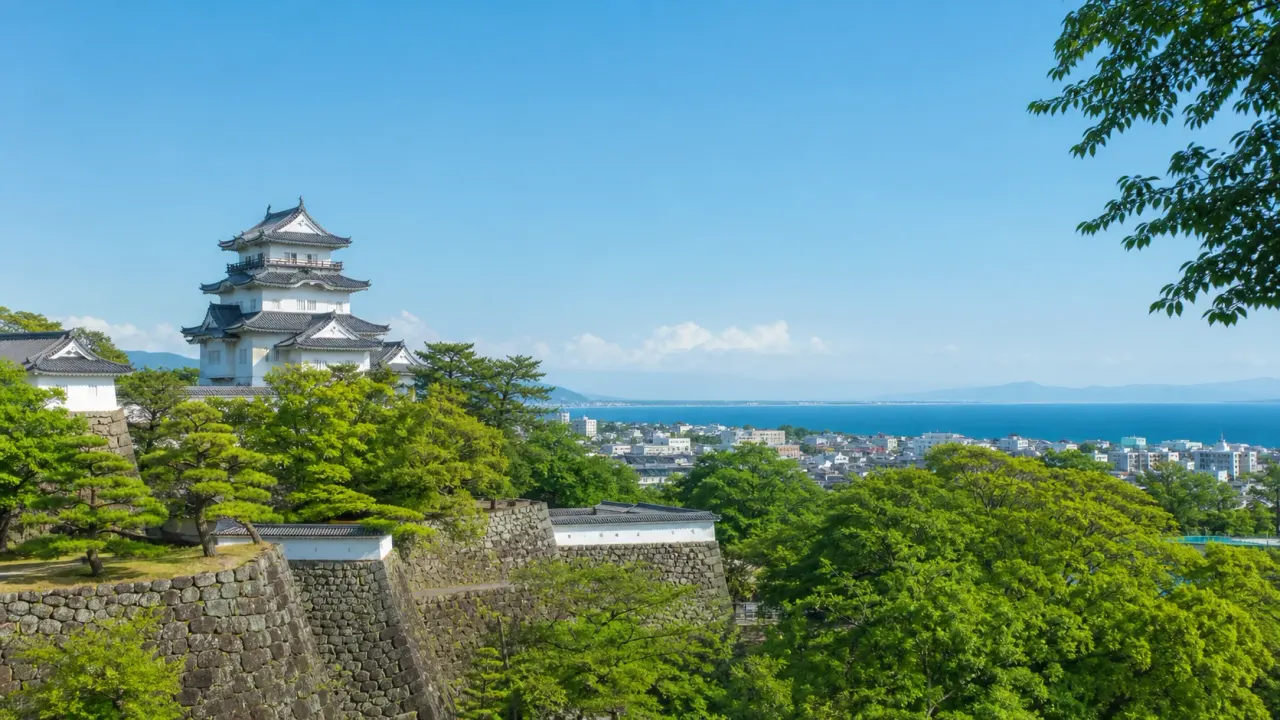 小田原市で散歩したい人向けに、小田原城址公園、御幸の浜、小田原漁港、曽我梅林、石垣山一夜城、根府川、文学館周辺などを目的別にまとめました。