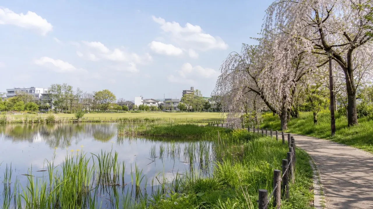 尾久の原公園をイメージした、湿地の池と原っぱ、シダレザクラがある静かな水辺公園のカバー画像