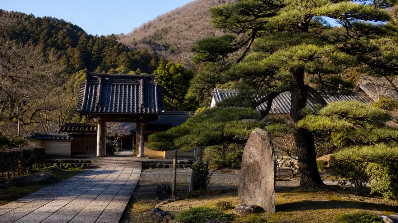 太田市大光院の寺門と松、金山南麓の静かな参道をイメージしたカバー画像
