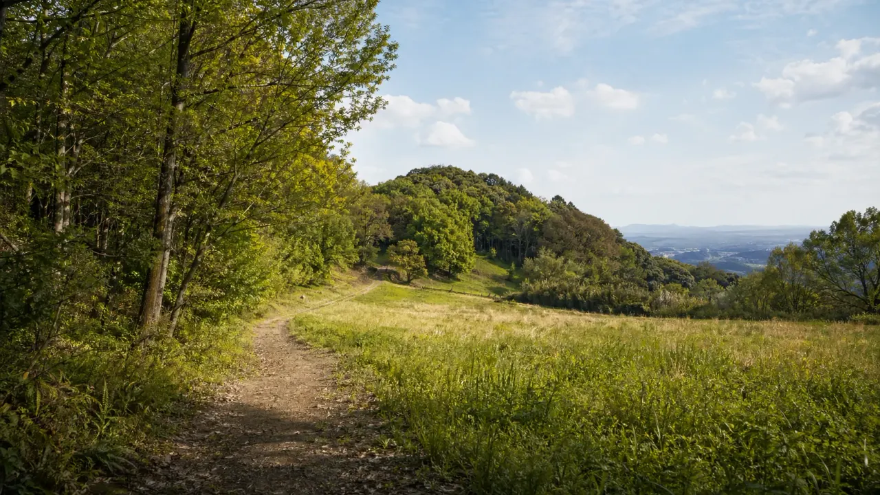 町田市の大戸緑地を、境川源流域の里山風景と小高い丘の展望を味わう散歩先として紹介。相原駅・橋本駅からバスで行く半日コースをまとめます。