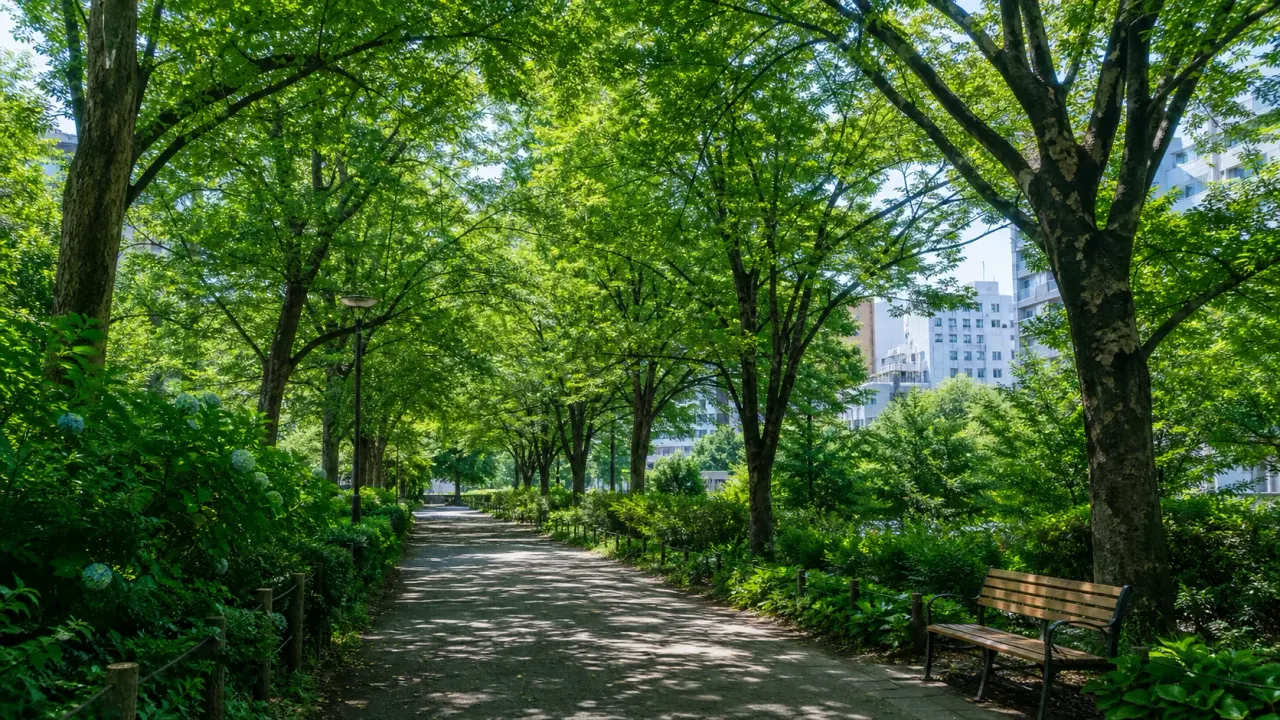 夏の木陰が続く東京の公園散歩道のイメージ