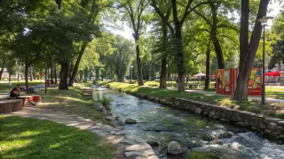 【都会の癒やし】音無親水公園は本当に静かな公園｜音無川沿いを散歩して見つけた涼スポット3選