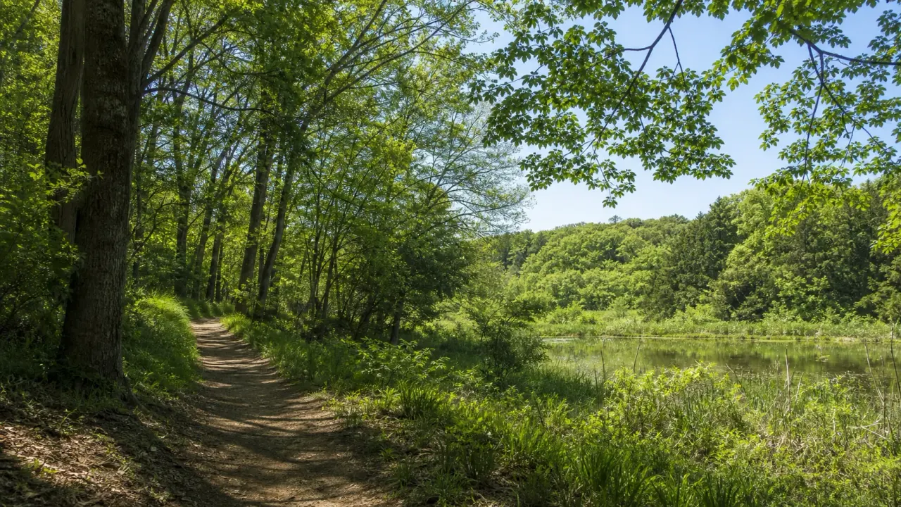 町田市・八王子市にまたがる小山内裏公園の散歩ガイド。多摩境駅や南大沢方面から、尾根道、雑木林、草地、池をゆっくり巡る歩き方を紹介します。
