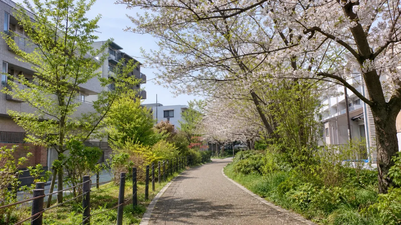 桜と新緑に包まれた住宅街の緑道
