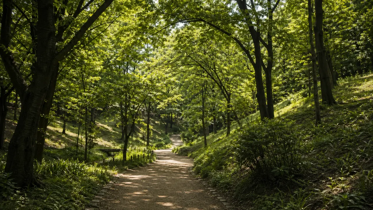 多摩市の桜ヶ丘公園で、雑木林と丘陵地形を感じながら静かに歩く半日散歩を紹介。旧多摩聖蹟記念館やゆうひの丘とあわせて、気持ちを落ち着ける公園の回り方をまとめました。