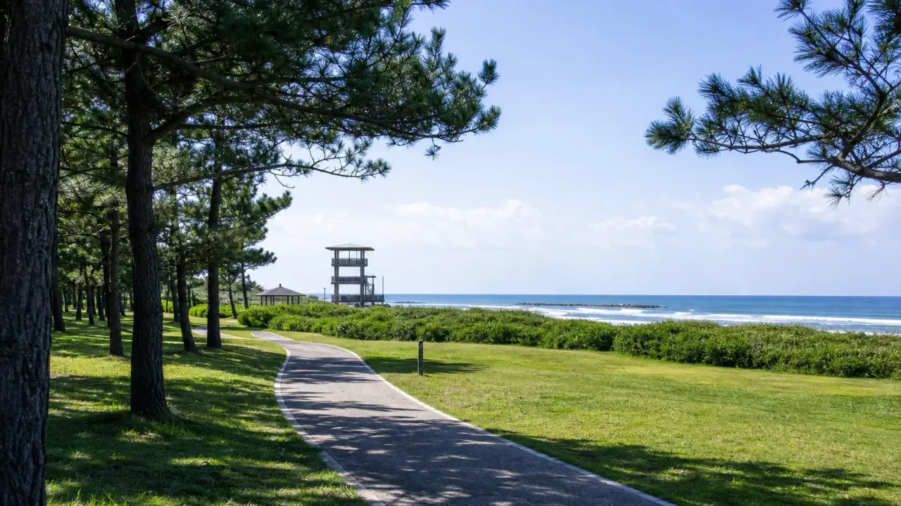 千葉県山武市の蓮沼海浜公園で、松林、芝生、展望塔、九十九里の海をゆるくつなぐ散歩ガイド。レジャー施設を全部使わず、海辺の公園として半日未満で歩く考え方をまとめます。