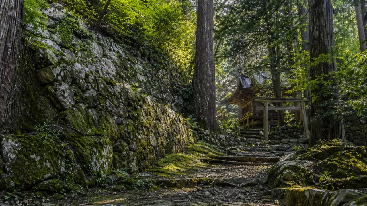 【佐野】唐沢山城跡と唐澤山神社を歩く、山城の森さんぽ