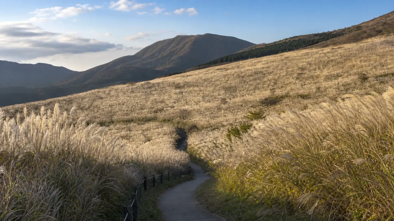 箱根町の仙石原すすき草原で、ススキの道、外輪山、湿原の広がりをゆっくり眺める散歩を紹介。秋だけでなく新緑の季節にも使える高原の歩き方をまとめます。