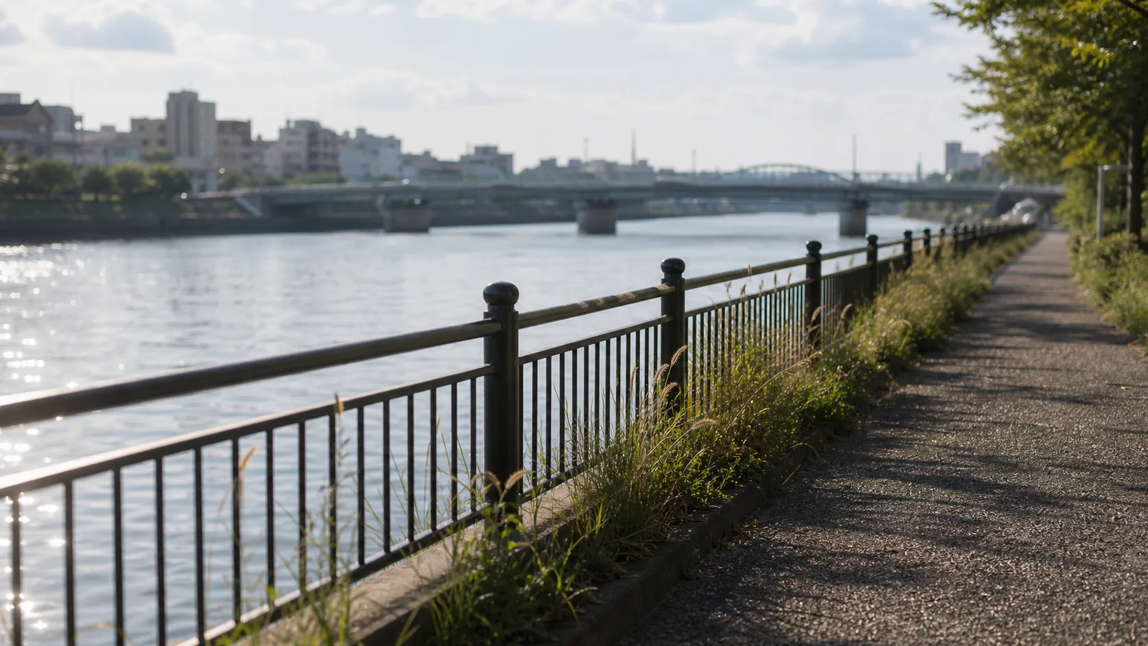 水辺の手すりと遊歩道の近景のイメージ