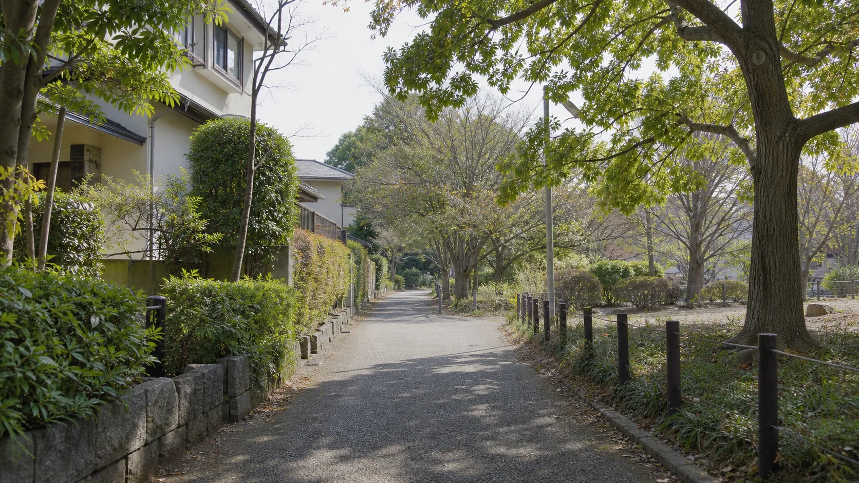 緑の多い世田谷の住宅街を歩く空気感のイメージ