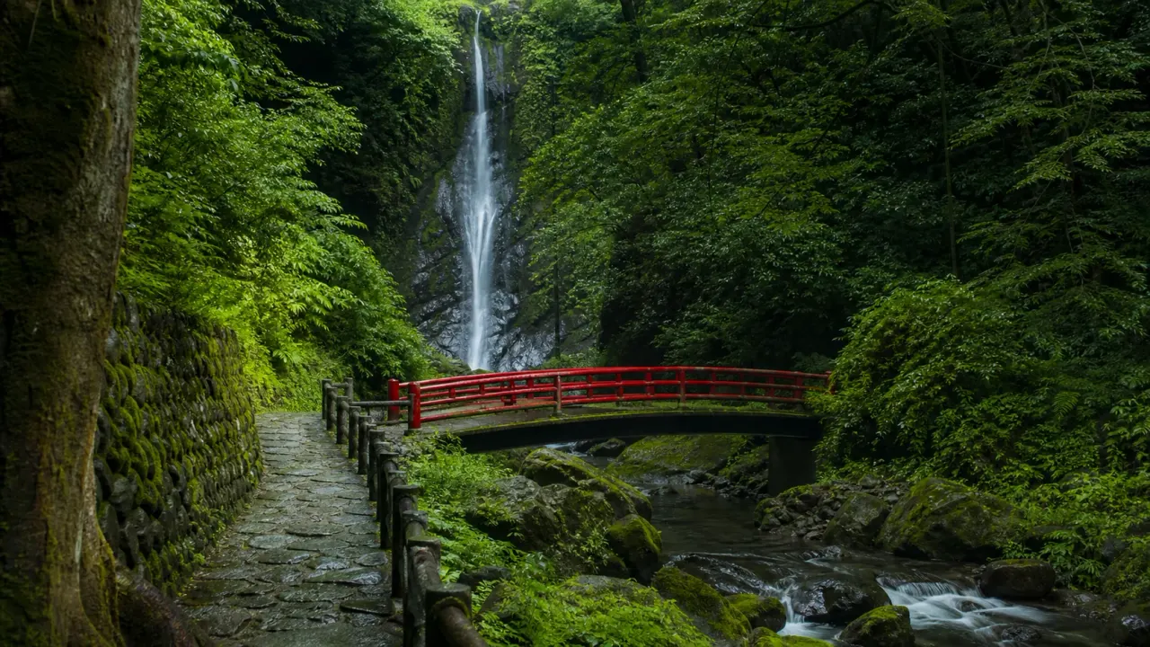 山北町の洒水の滝で、赤橋、森の遊歩道、水音をゆっくり味わう散歩を紹介。丹沢の手前で名瀑と静けさを受け取る短時間の歩き方をまとめます。