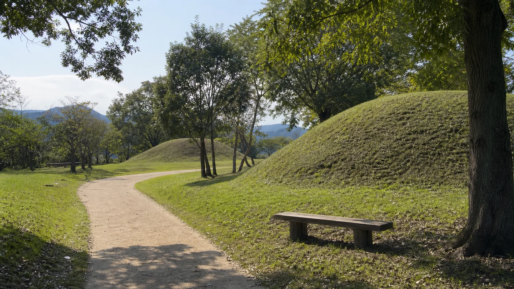 緑の公園で低い丘と木陰のベンチを眺めるイメージ